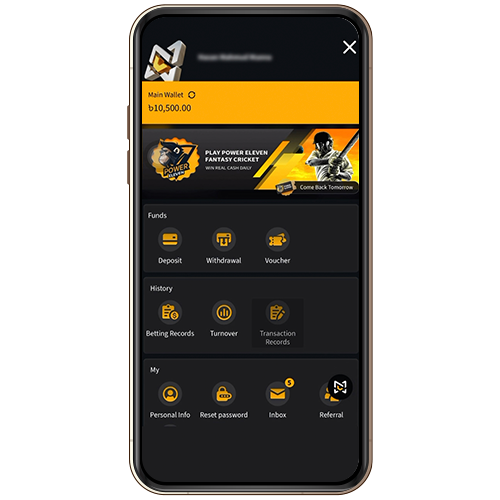 Mega Cricket World APK for Android Users